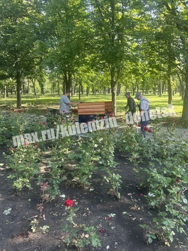 В эти жаркие летние дни сотрудники Дирекции парков продолжают работу по благоустройству территорий В эти жаркие летние дни сотрудники Дирекции парков продолжают работу по благоустройству территорий