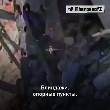 28 ���� ����� ��������, ��� ���������� ������ ���������� ���������� ����� ������� � ���