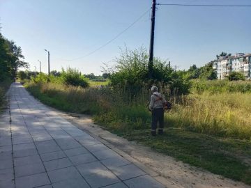 В Центрально-Городском внутригородском районе, в рамках акции "Маленькие добрые дела", при помощи активистов ПО 568, проведена работа по покосу территории вокруг водоема Эра