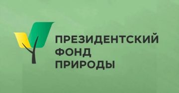 ���������� ��� ������������ ���������� ������ �� ������ �������������� ����� ������������� � ��������������� ��������