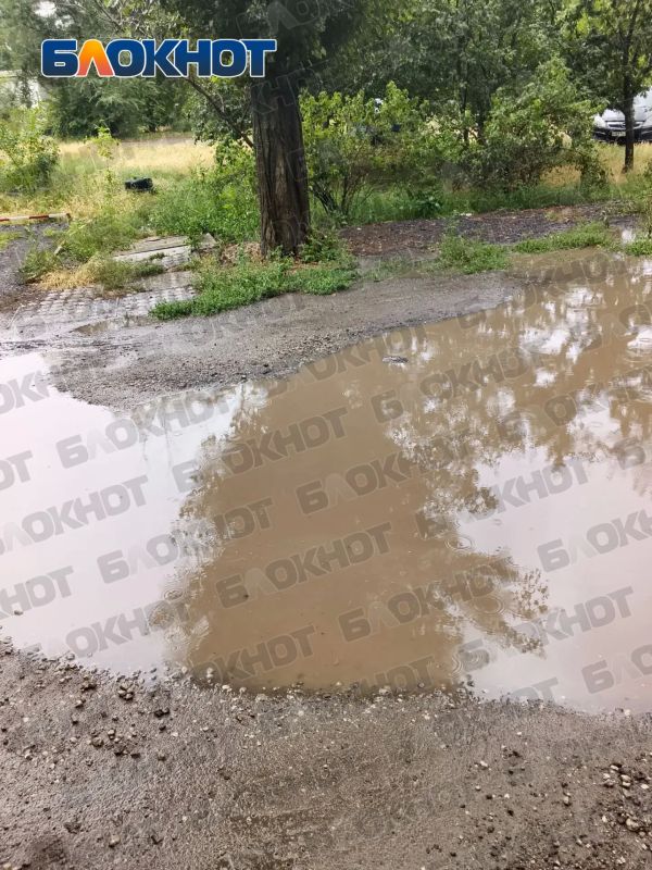 После дождя — грязь и нечистоты: жители 945-го квартала в Макеевке просят привести в порядок двор После дождя — грязь и нечистоты: жители 945-го квартала в Макеевке просят привести в порядок двор