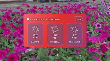 Погода в Донецке на 8 августа