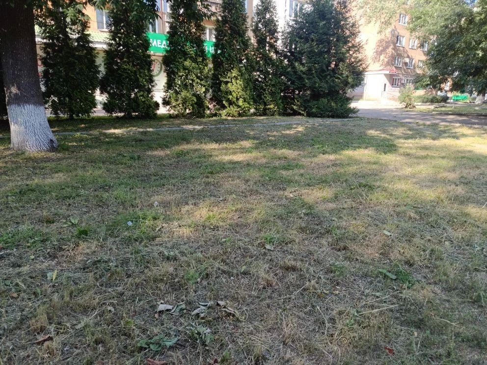 В Шахтерском округе продолжаются работы по благоустройству В Шахтерском округе продолжаются работы по благоустройству