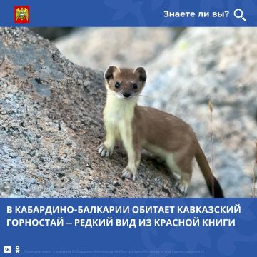 Алексей Кулемзин: Кабардино-Балкария сохраняет уникальное природное наследие, в том числе редкие виды животных, обитающие в высокогорных экосистемах республики