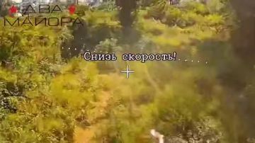 ��� ������: �����������-����������� �����������