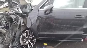 ����� �� ������ ���������� �������� ���� �������� ������������ ���