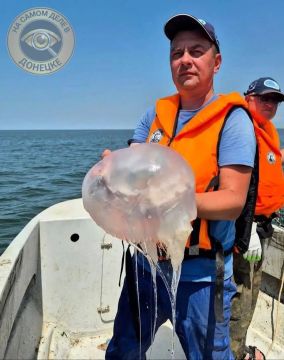 � �������� ���� ������ ��������� ���� �� �����