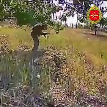 ������ �������: ��������� �������� ��� �� ��������������� �����������