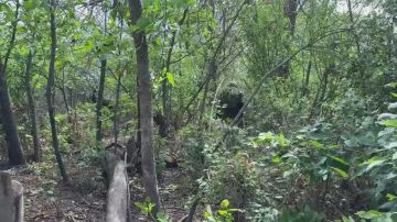 ������� ���������: ����� �����: ��� �������� ������������ ������ ����� ��� �� ������������� ����������� ������ ���� � ������ � �������������� ���������� ������ ����������� ���� 74� ��������� �������������� �������...