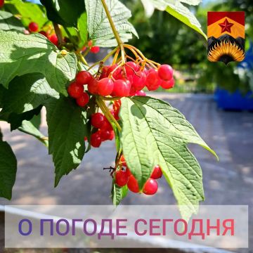 Гидрометцентр сообщил о погоде в Шахтерском округе