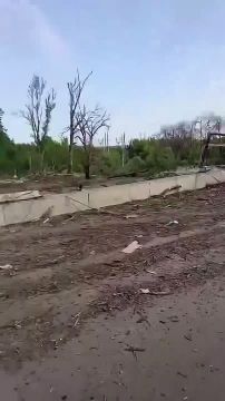 ������ �������: ������ ���������. ������������ ������� fpv-������ ���������� ����� � ������� ������� ����������