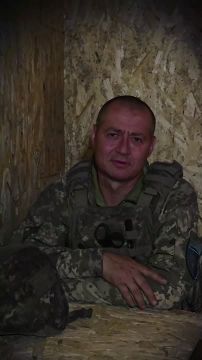 Хіба ревуть чуби? Ревут, ревут