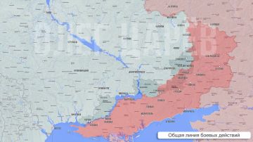 Олег Царёв: Фронтовая сводка 11 августа