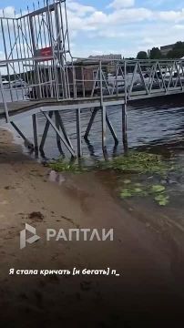 �������, ������� ������ �� ����� � ���������� ����� ����� �����, ������� 23-� ������ ����� ������� ��������