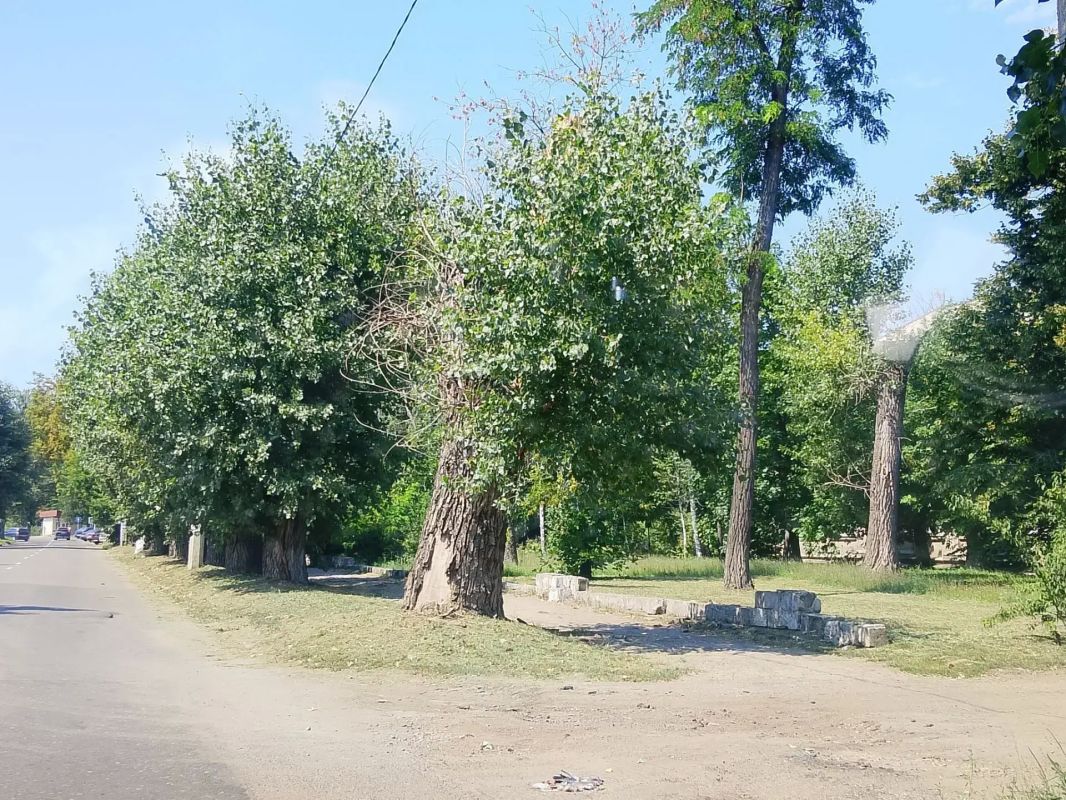 Предприятия и учреждения Кировского внутригородского района города Макеевки продолжают работы по поддержанию своих прилегающих территорий в надлежащем санитарном состоянии