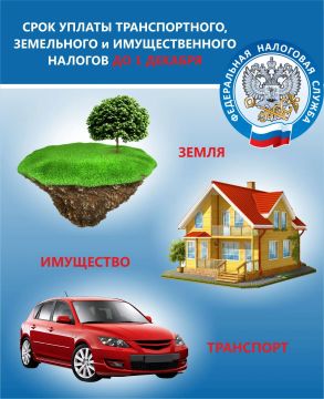 Имущественные налоги: что важно знать владельцам недвижимости и транспорта