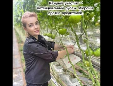 ���� �����: ���� ���� �� ������ �������