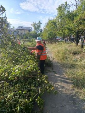 Коммунальщики Снежного продолжают благоустраивать территории общего пользования