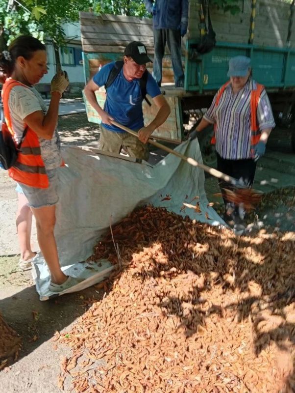Содержание жилого фонда: отчет о работе в г. Светлодарске Содержание жилого фонда: отчет о работе в г. Светлодарске