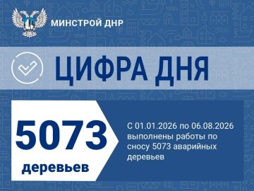 Ликвидация аварийных деревьев продолжается