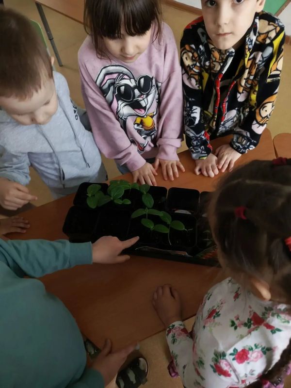 Маленькие огородники из «Золотого ключика» постигают азы агронауки прямо на детсадовском подворье Маленькие огородники из «Золотого ключика» постигают азы агронауки прямо на детсадовском подворье
