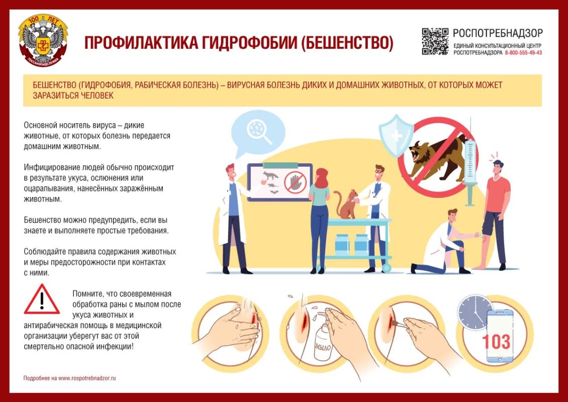 Территориальный отдел Управления Роспотребнадзора по Донецкой Народной Республике в городе Горловка и Артемовском районе НАПОМИНАЕТ о ПРОФИЛАКТИКЕ БЕШЕНСТВА