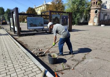 Маленькие добрые дела. И снова добрые дела