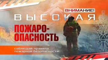 Роман Конев: Внимание: высокий уровень пожарной опасности в ДНР!