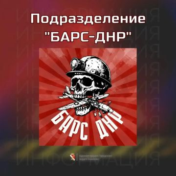 Игорь Мартынов: В Донецкой Народной Республике ведётся формирование добровольческого подразделения «БАРС-ДНР»