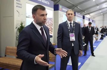 Масштабные перемены в малых городах: Пушилин представил Мишустину проекты благоустройства территорий в ДНР
