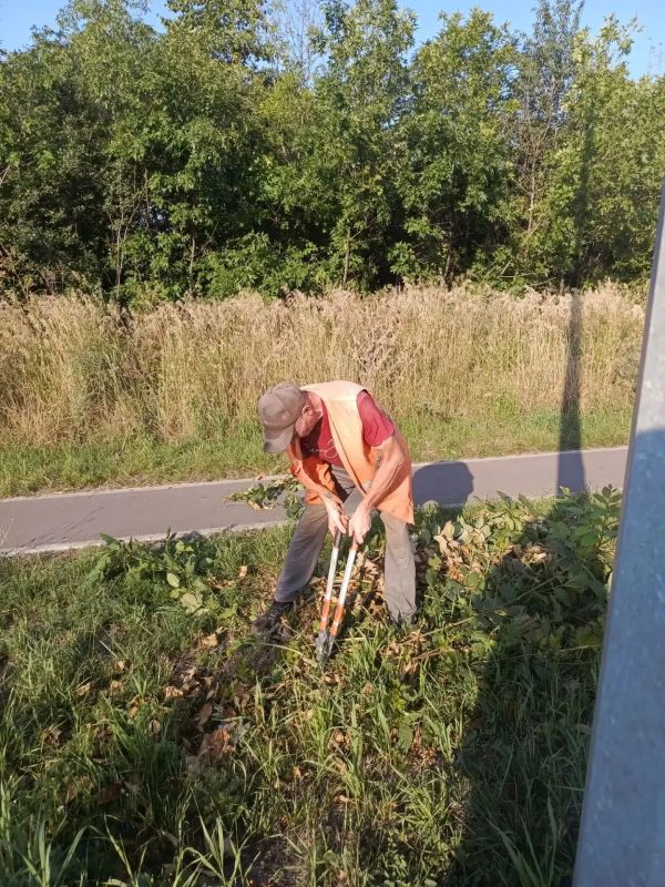 Коммунальщики Снежного продолжают благоустраивать территории общего пользования Коммунальщики Снежного продолжают благоустраивать территории общего пользования