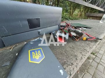 Вражеский дрон попал в дерево в районе Крытого рынка в Донецке