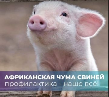 АЧС: почему дисциплина — ваш главный щит