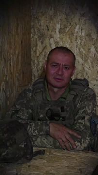 Владимир Разин: Хіба ревуть чуби? Ревут, ревут