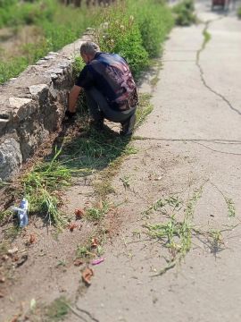 Благоустройство Светлодарска: отчет о работе МБУ «Благо»