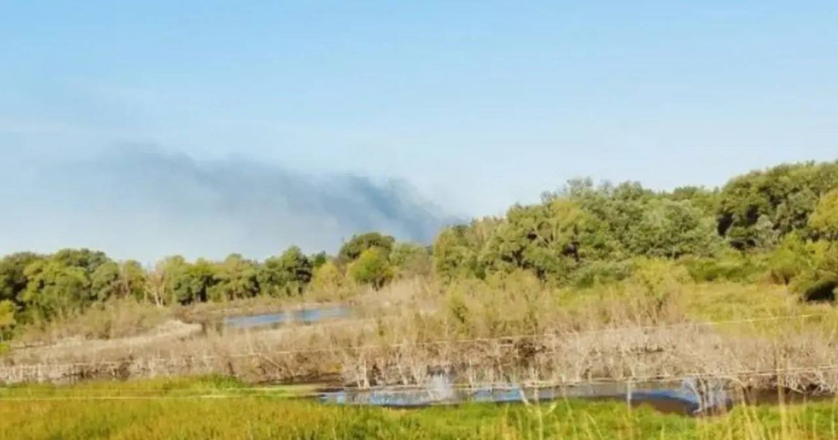 ВС РФ ночью нанесли удары по военным объектам в 8 областях Украины ВС РФ ночью нанесли удары по военным объектам в 8 областях Украины