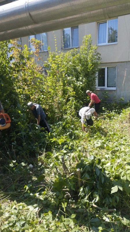 В Центрально-Городском внутригородском районе в рамках акции «Маленькие добрые дела» при непосредственной помощи активистов ПО 566, 567 проведена работа по покосу сорных и карантинных трав и по обрезке кустов и поросли по... В Центрально-Городском внутригородском районе в рамках акции «Маленькие добрые дела» при непосредственной помощи активистов ПО 566, 567 проведена работа по покосу сорных и карантинных трав и по обрезке кустов и поросли по...