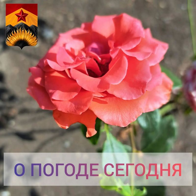 Гидрометцентр сообщил о погоде в Шахтерском округе