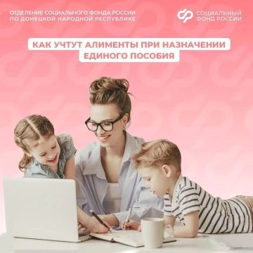 Как Соцфонд считает алименты при назначении единого пособия