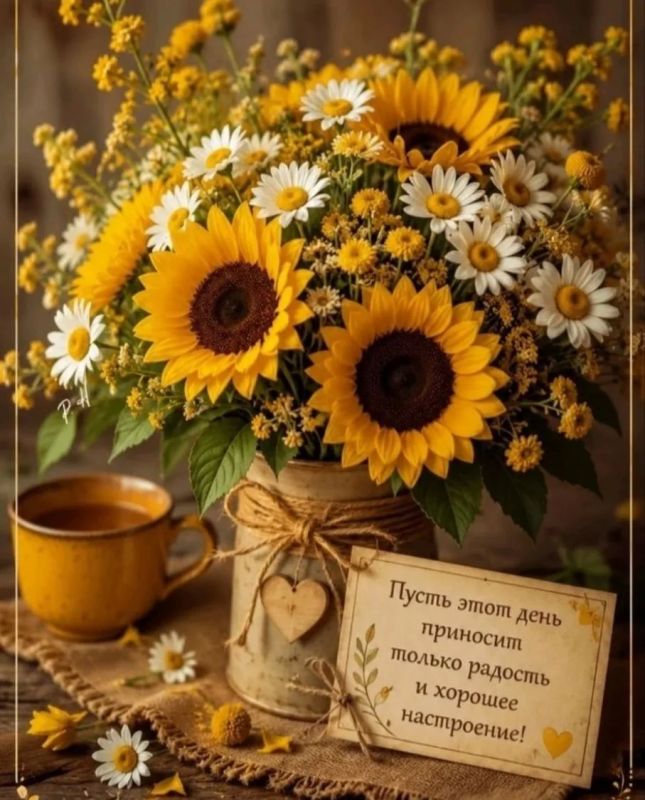 #доброе_утро