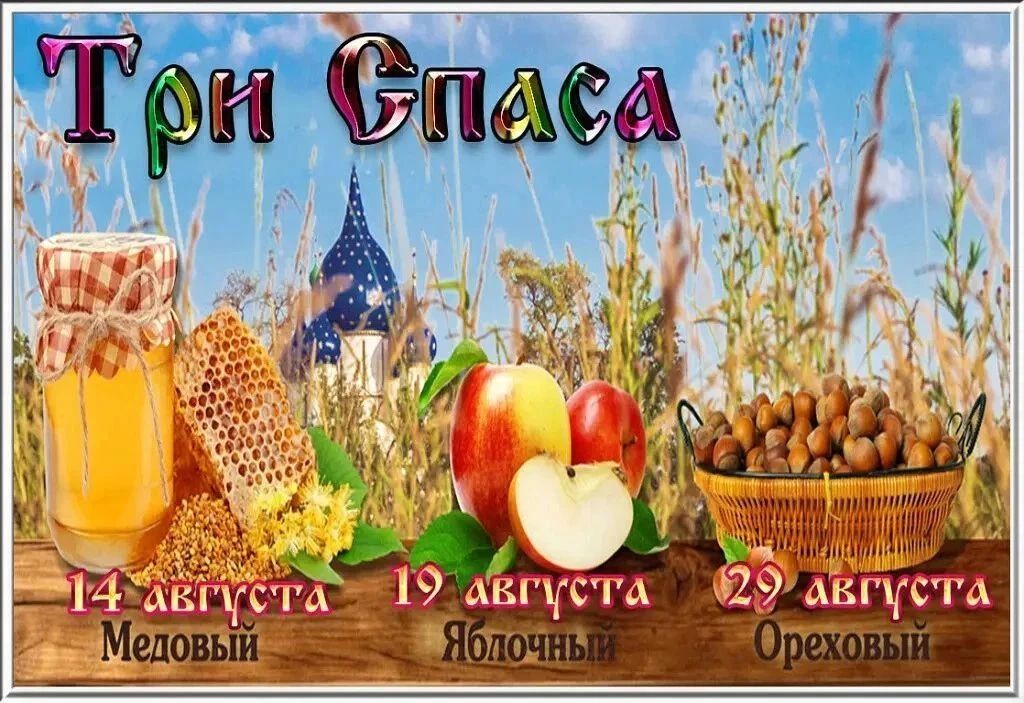 Продолжаются мероприятия в рамках месячника культуры #КУЛЬТУРНЫЙАВГУСТ Продолжаются мероприятия в рамках месячника культуры #КУЛЬТУРНЫЙАВГУСТ
