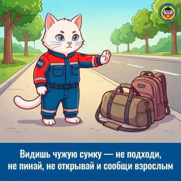 Опасные находки. Лето — время прогулок и приключений, но важно помнить: не всё, что лежит на земле, безопасно