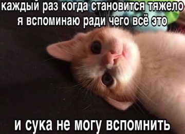 �������� ������. �������� �������/������