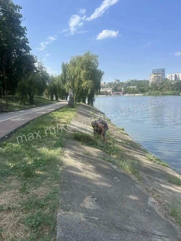Работа по созданию комфорта и уюта в городских парках продолжается Работа по созданию комфорта и уюта в городских парках продолжается