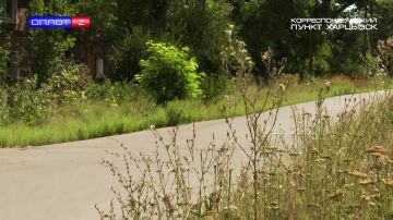 ��� �������� ��������. . � ���������, ��� ��� ������ � ������ � �������� �������, ����������� ��� �������� ��������, ������ ������� � ���������� ��������