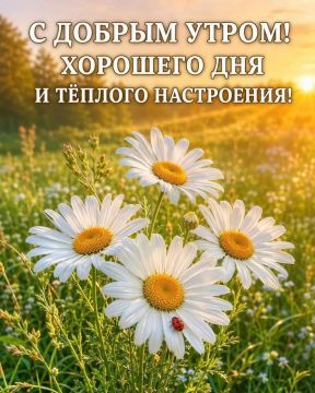 #доброе_утро