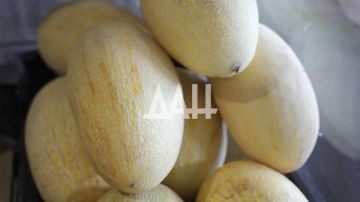 ����� ����: ��� ������� ������ ��������� � ��� ������ ������� �� ������ �������