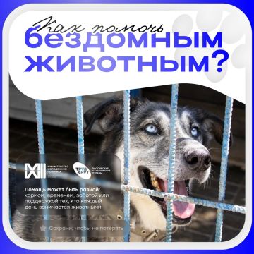 ������ ���������� � �������� ��������