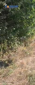 «Забытый Богом и руководством Кировский район»: жители Лидиевки молят власти увеличить количество бочек и частоту подвоза воды