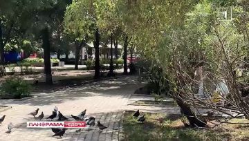���� ������ ���� ������ � ����������! ��������������� � ���